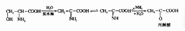 一、氨基酸的脱氨基作用