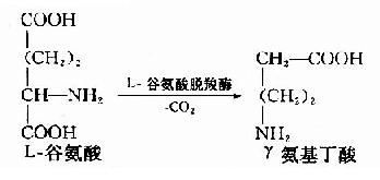 三、脱羧基作用