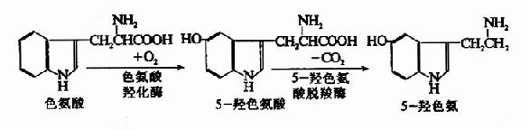 三、脱羧基作用