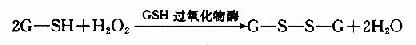 二、含硫氨基酸的代谢