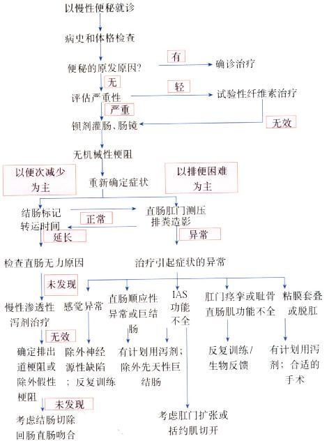 慢性便秘病人临床处理流程