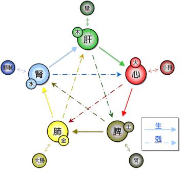 五行、五脏相生相克