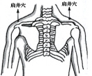 腰酸背痛按肩井